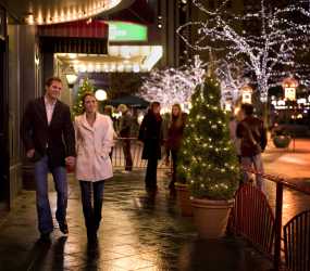 Free Winter Activites In Denver Visit Denver