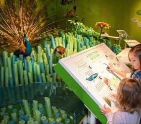 Our Senses at Denver Museum of Nature and Science