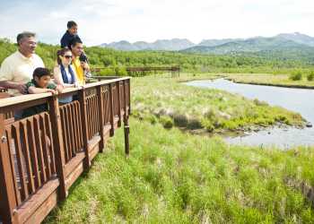 Wildlife viewing on the Potter Marsh boardwalk