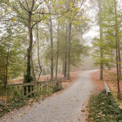 Lockerly Arboretum Fall
