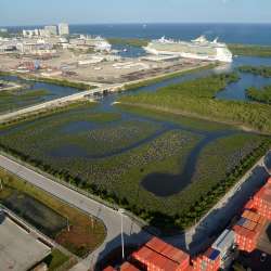 Aerial image of the mangrove enhancement area looking east with cruise ships in the background