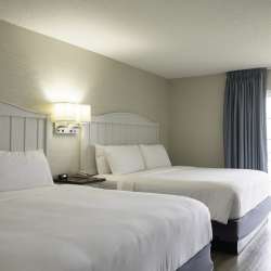 Rooms at Baywatch Resort