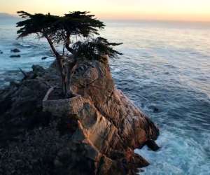 Pebble Beach Golf Hotels Restaurants Pebble Beach Golf