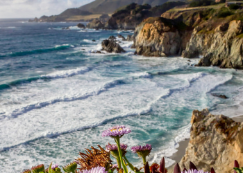 Travel Updates In Monterey County