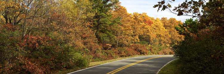 7 Scenic Drives To Experience Pocono Fall Foliage