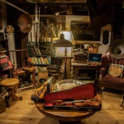 A shop full of old pieces of furniture, lamps, books, musical instruments and photographs