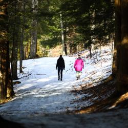 Winter Trails