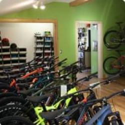 Bike Rentals