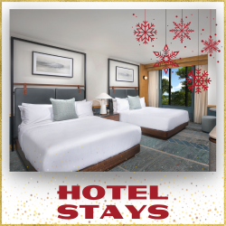 HoCo Holidays - Winter in Downtown - Hotel Stays