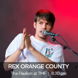 Rex Orange County performs at The Pavilion 8:30 pm