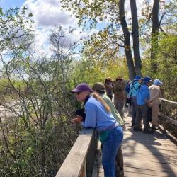 Magee Marsh Boardwalk