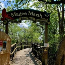 Magee Marsh boardwalk entrance