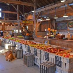 Quarry Hill - market barn