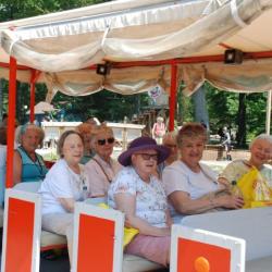 Island Tour Train senior group