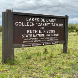 Lakeside Daisy preserve