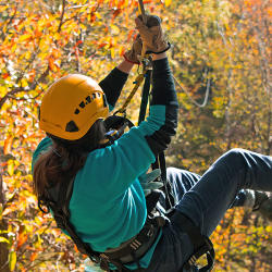Copy of Common Ground Ziplining