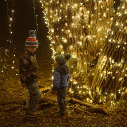 Twin Oast Winter at the Oast kids