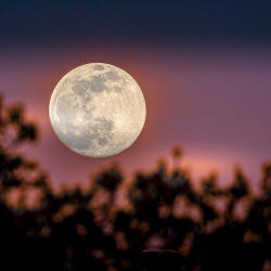 Full moon