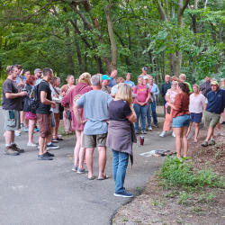 Island Green Week walking tour