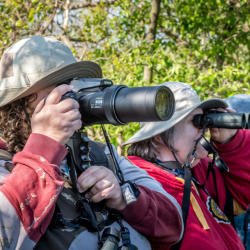 Birders camera