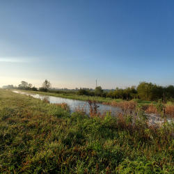 pickeral creek
