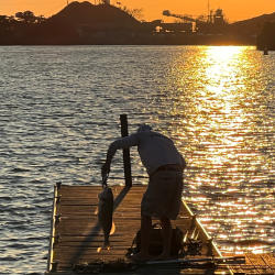 Fishing Shelby Street Boat dock