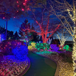 Fast Eddie's holiday