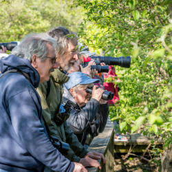 Biggest Week birders