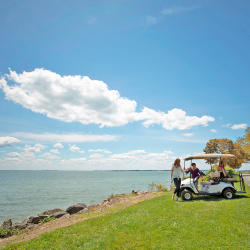 Copy of Golf Cart Kelleys Island