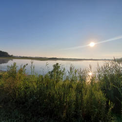 Wetlands - Pickerel Creek