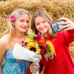 Quarry Hill sunflowers