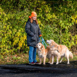 Ottawa Parks pumpkin walk Mazurik fall hiking dogs