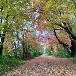W&OD Trail