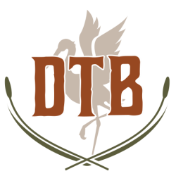 DTB Graphic