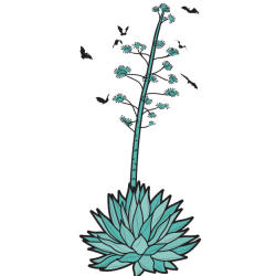 Agave plant illustration by Chris Philpot.