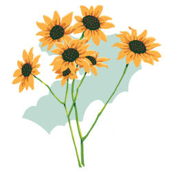 Pecos sunflower