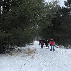 Guided Snowshoe Hike