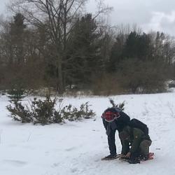 Snowshoers Assist Each Other
