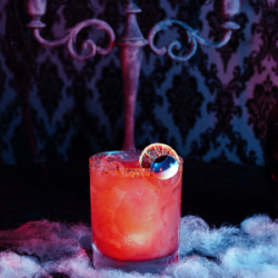 The Hidden Fang Speakeasy