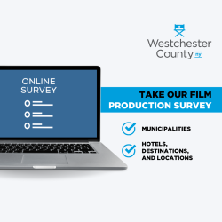 Film Survey Graphic