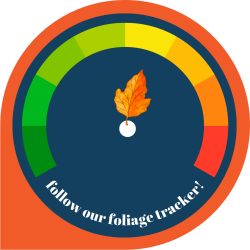 Foliage 9-24-25