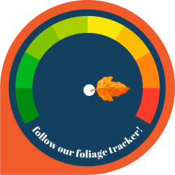 Foliage Tracker 10-6-25
