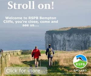 RSPB NEW 2
