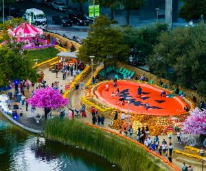 Houston Pumpkin Festival