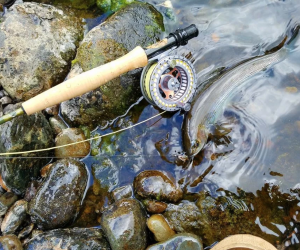 Mat-Su Valley Fishing: Salmon, Fly Fishing & More