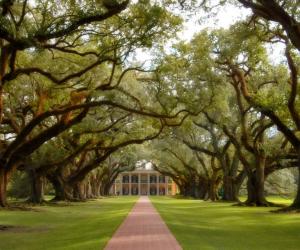 Oak Alley Plantation