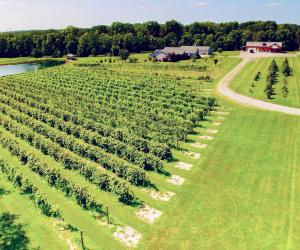 Wineries Breweries Visit Marysville