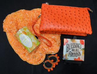 Fall Accessories (women's earrings, pocketbook, scarf) from Strandz & Threadz fall accessories