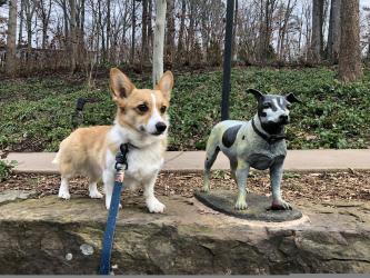 Kiki at Crystal Bridges