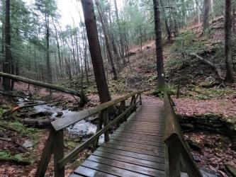 Rainy day hike at Trough Creek State Park